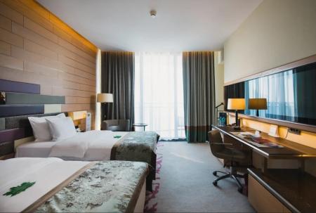    (  & | MRIYA RESORT&SPA)   Twin Sea View 2-