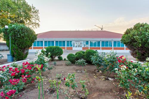 ������� ��������������� ������ ����� ��������������