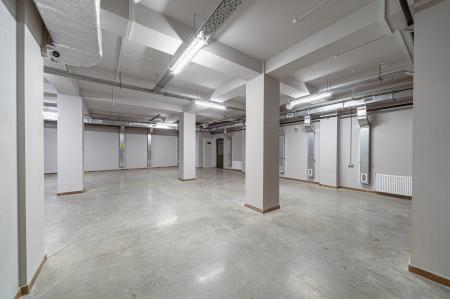 ����� Cipresso /�������� ��������