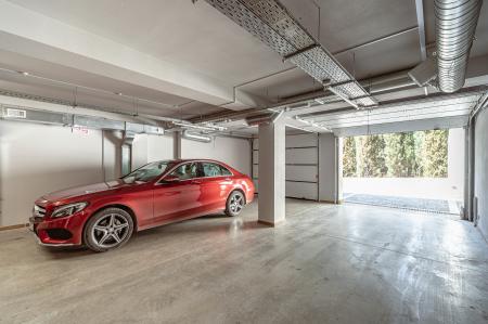 ����� Cipresso /�������� ��������