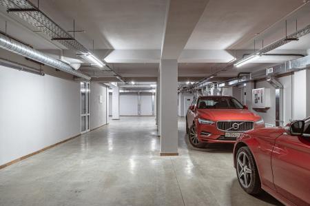 ����� Cipresso /�������� ��������