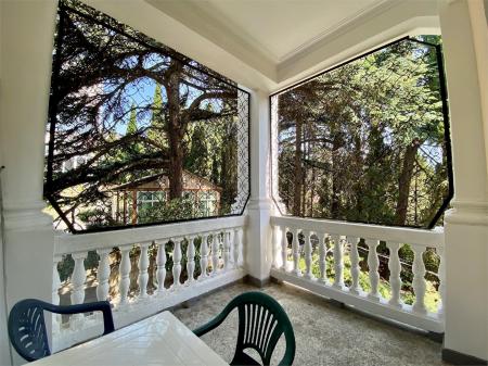  -  2- 1- 1    / (      )